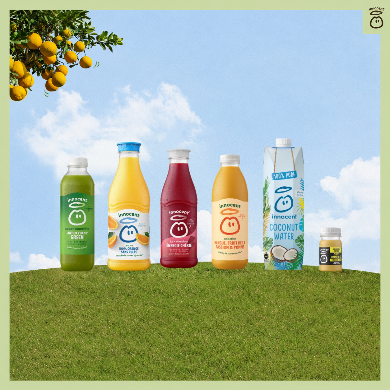 🍓🍏🍋‍ innocent rejoint le Syndicat des boissons sans alcool !